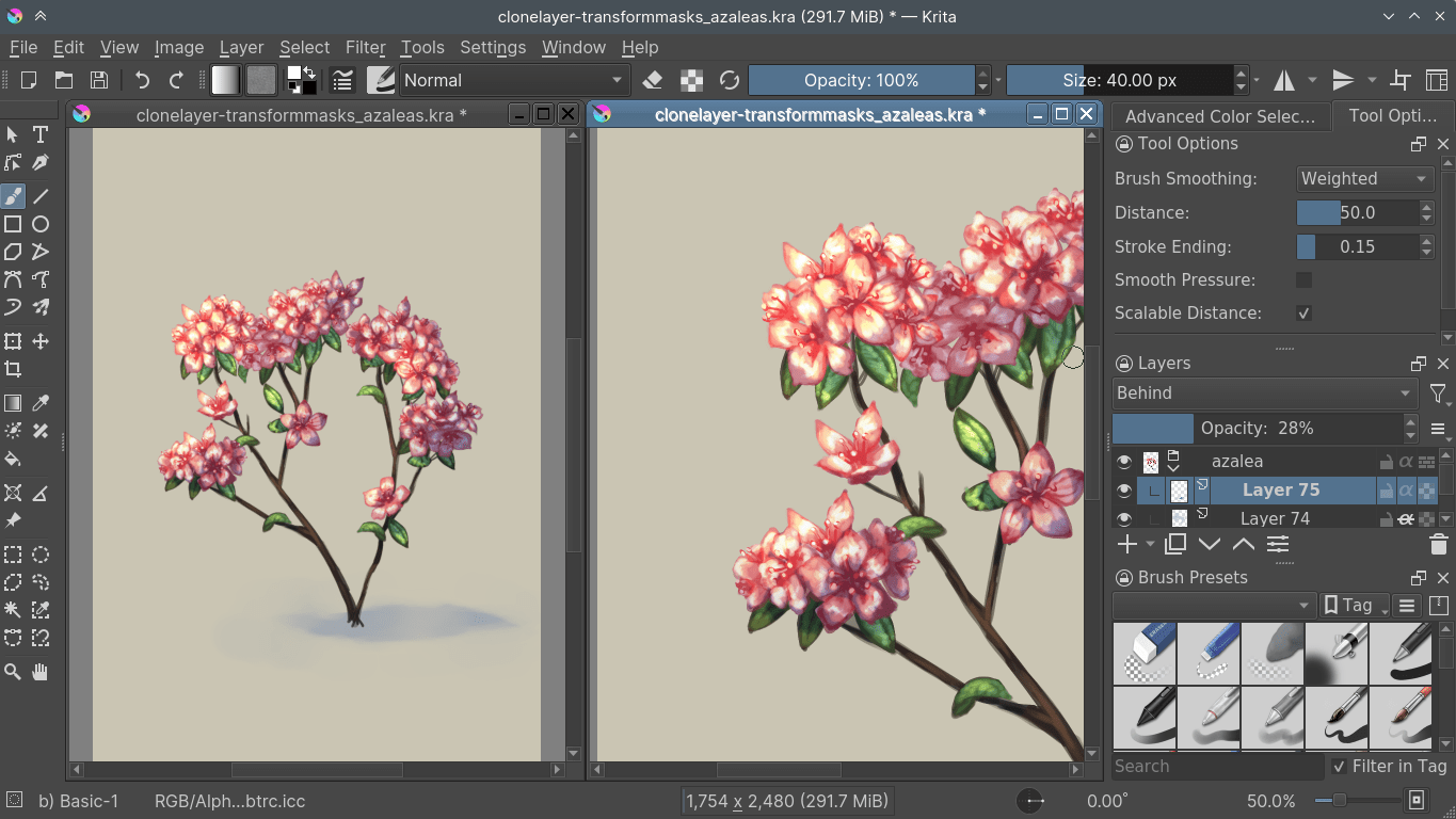 ../../_images/StellarCanvas_multiple_views.png