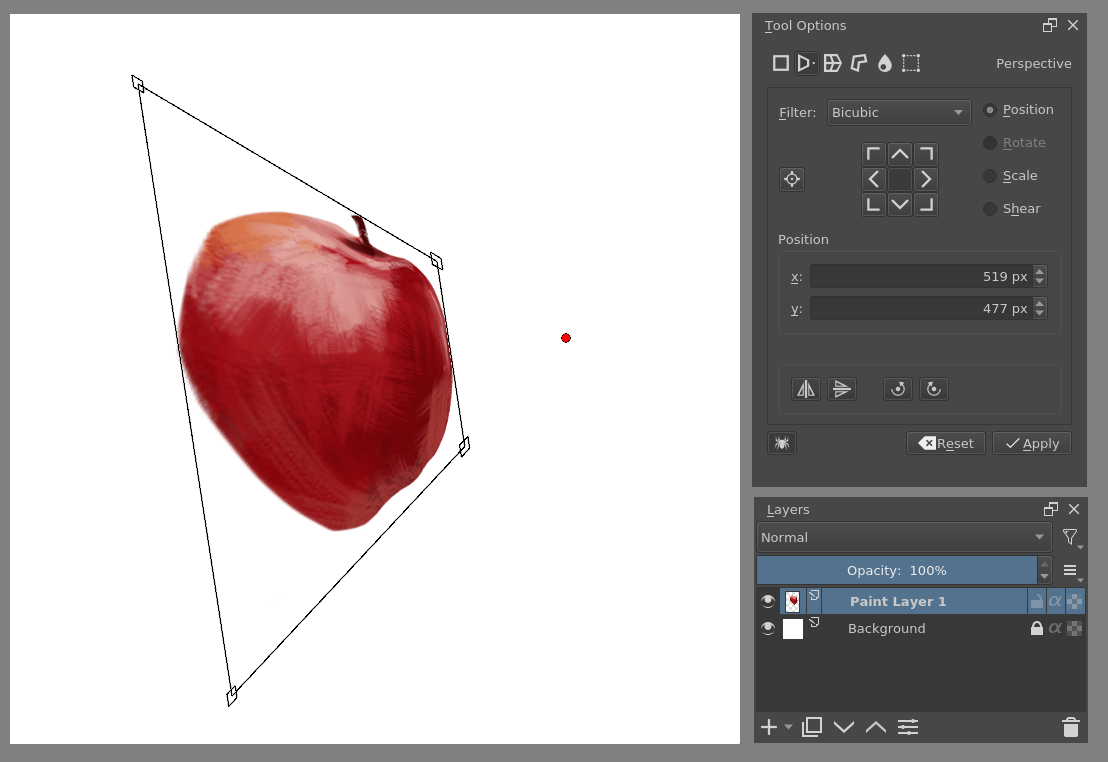 ../../_images/StellarCanvas_transforms_perspective.png