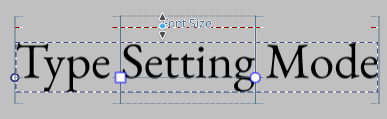 ../../_images/type-setting-mode.png